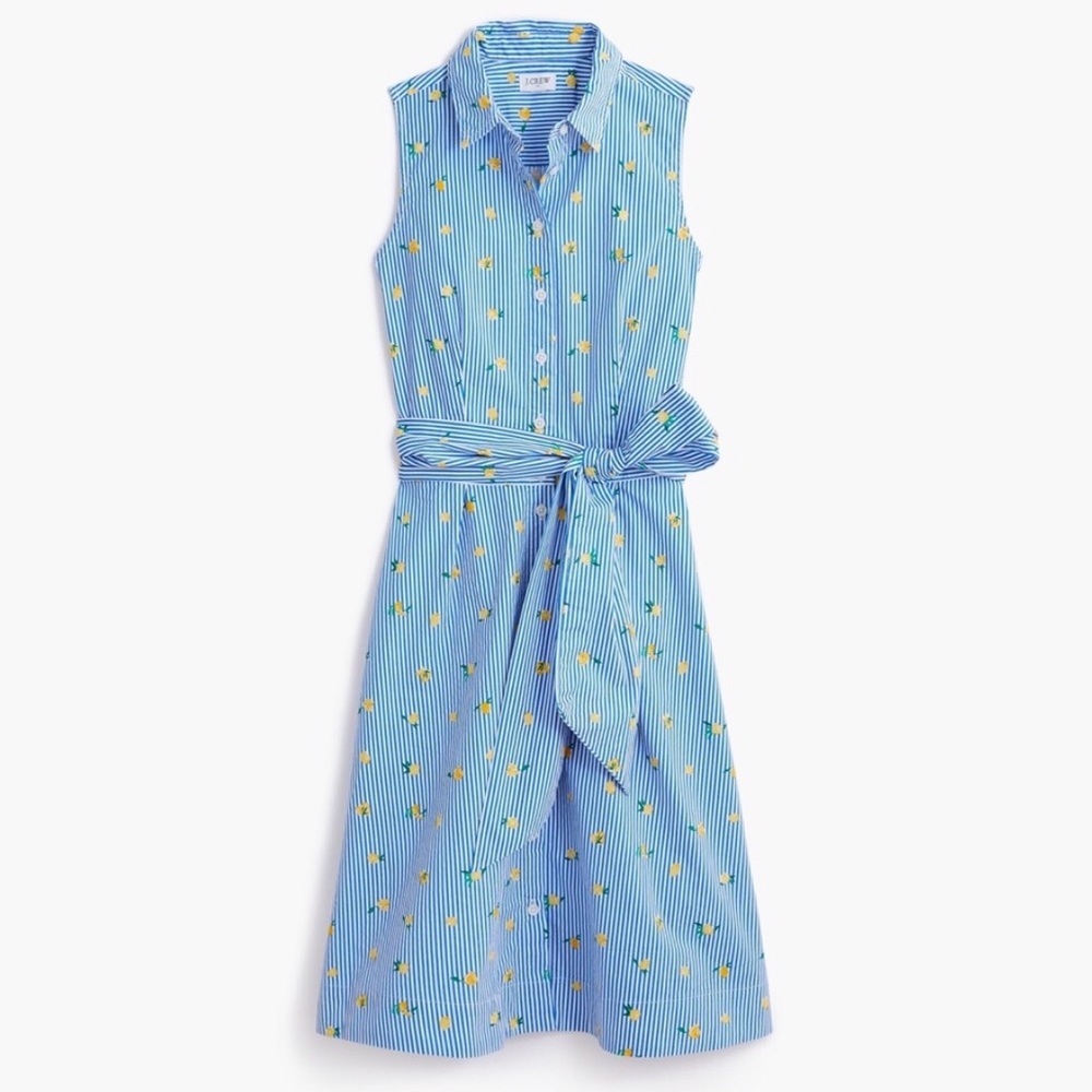 🍋 NWT J. Crew Factory Lemon Tie-Waist Shirtdress